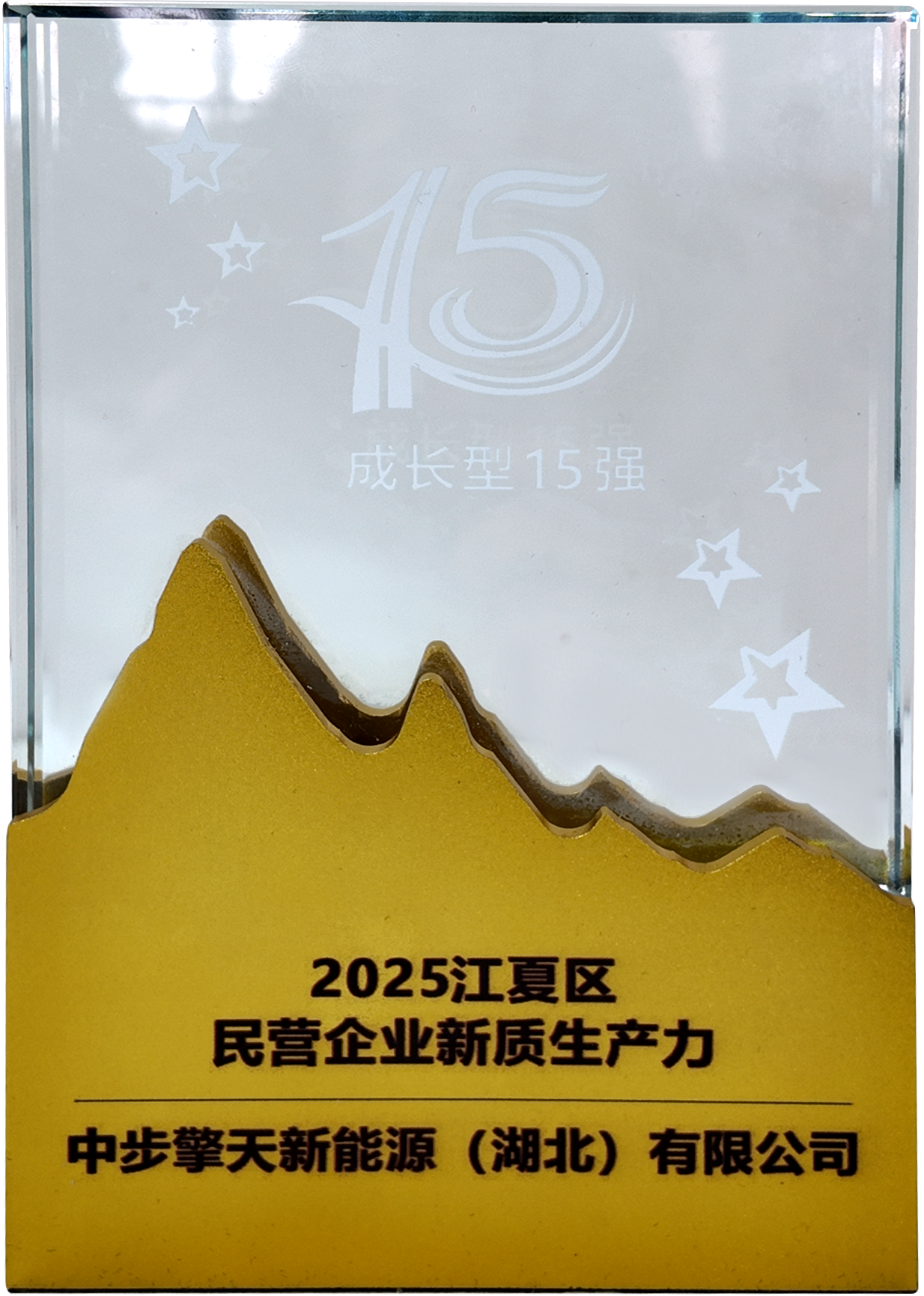 14.2025江夏區(qū)民營(yíng)企業(yè)新質(zhì)生產(chǎn)力.png