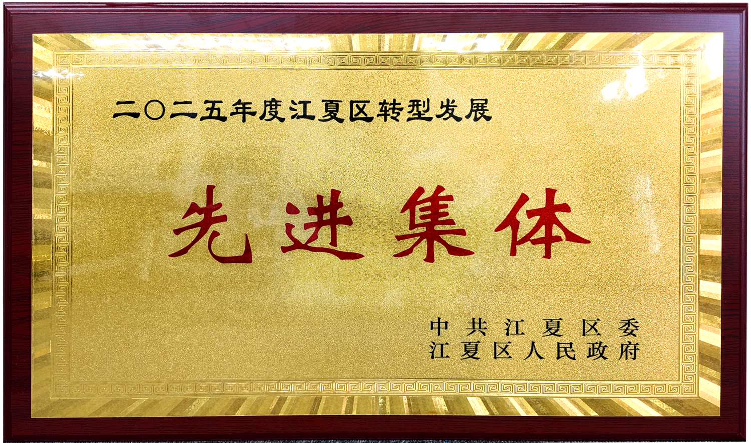 15.2025年度江夏區(qū)轉(zhuǎn)型發(fā)展先進(jìn)集體.png